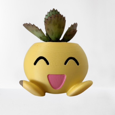 Pot Pokémon