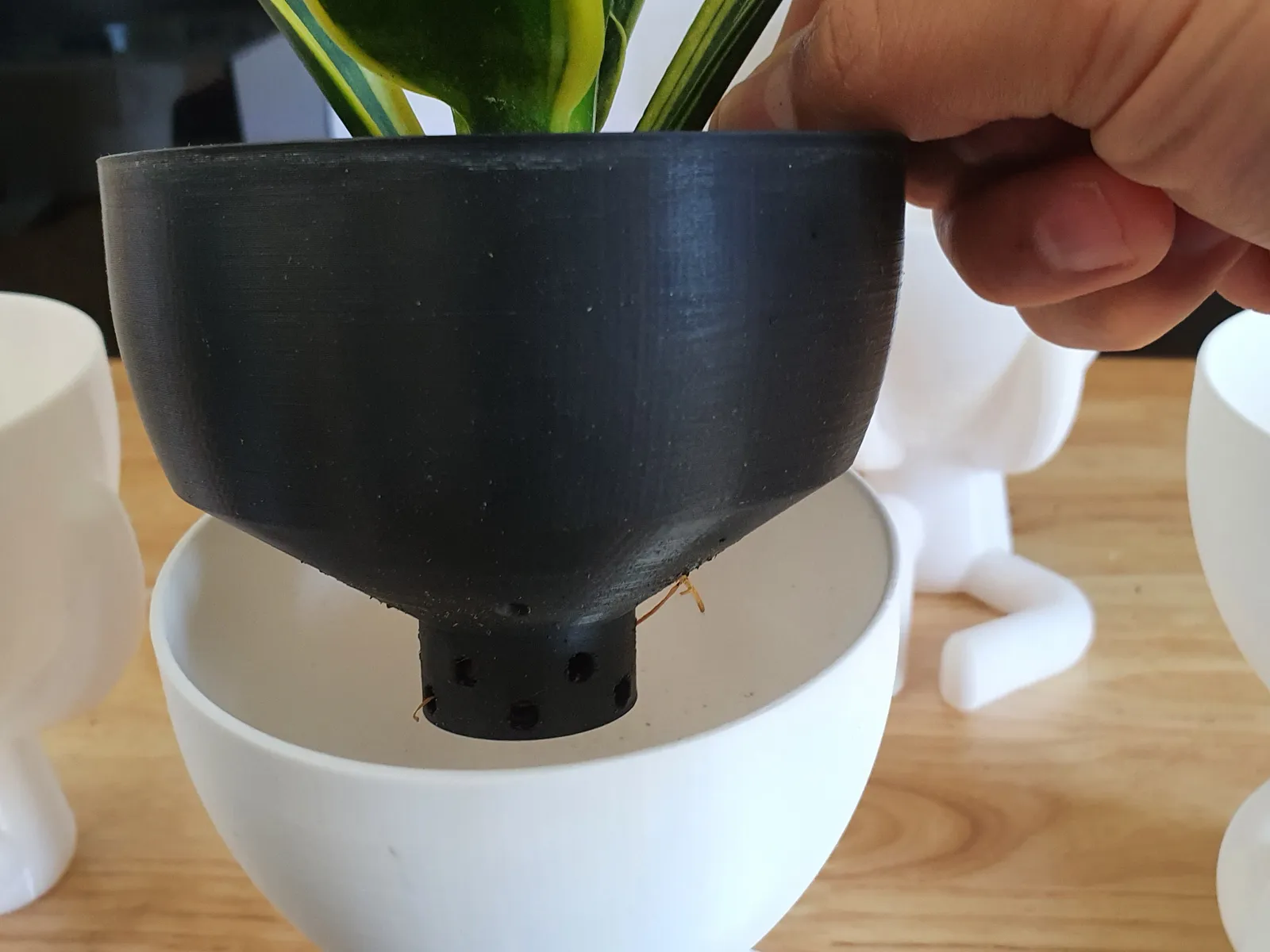 Pot plante