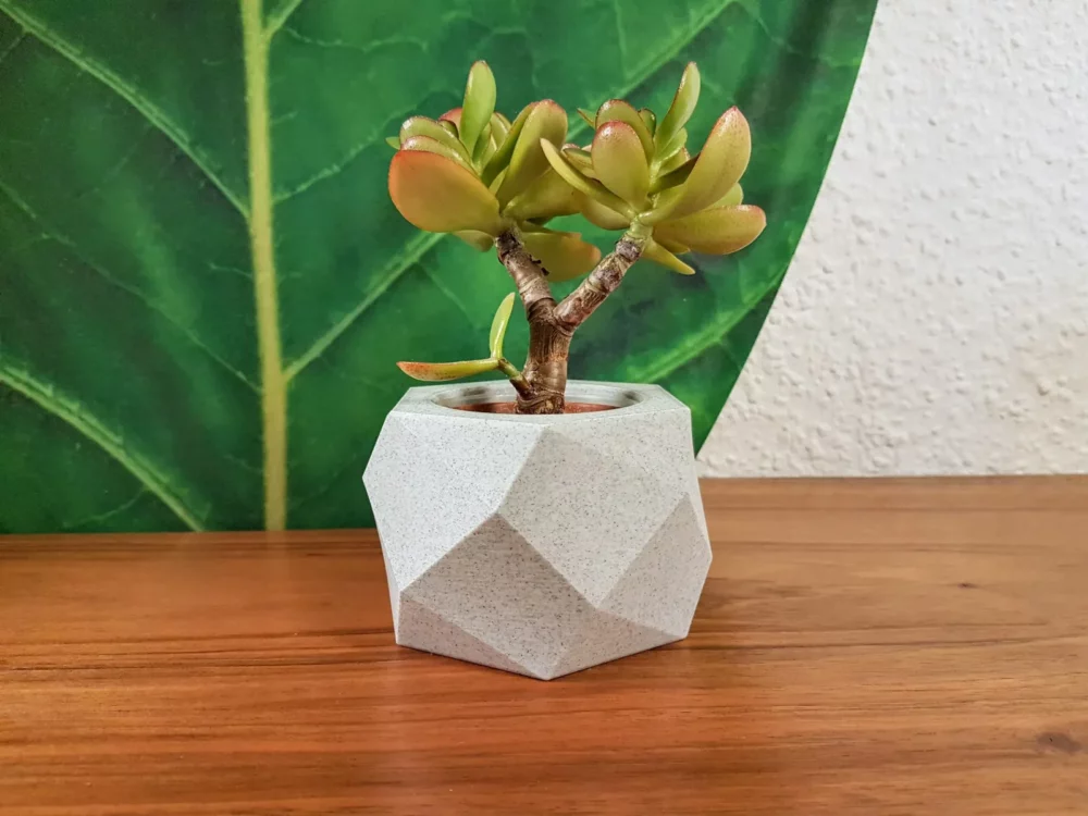 pot de fleurs