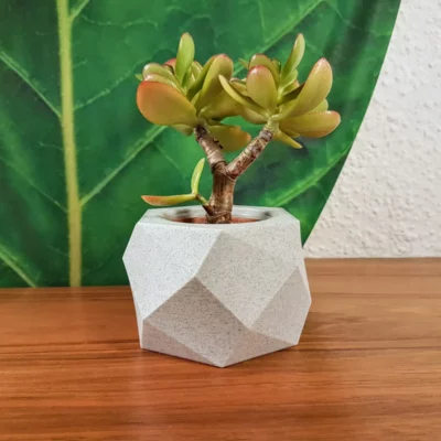 pot de fleurs