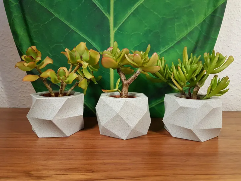 pot de fleurs